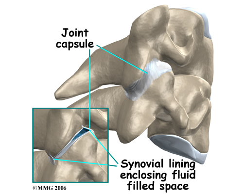 synjoint