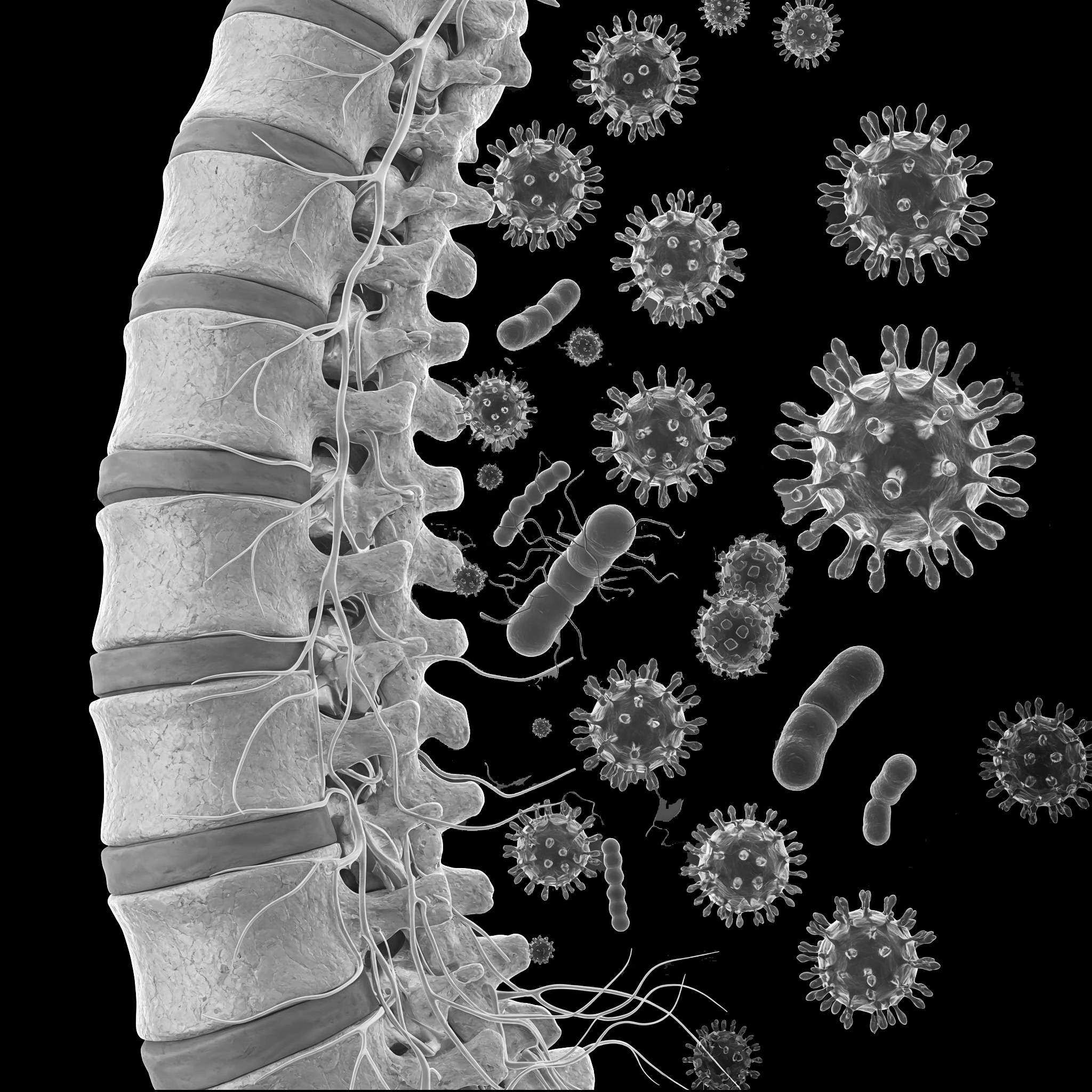 How Chiropractic Care Can Boost Your Immune System | Tulsa Chiropractor ...